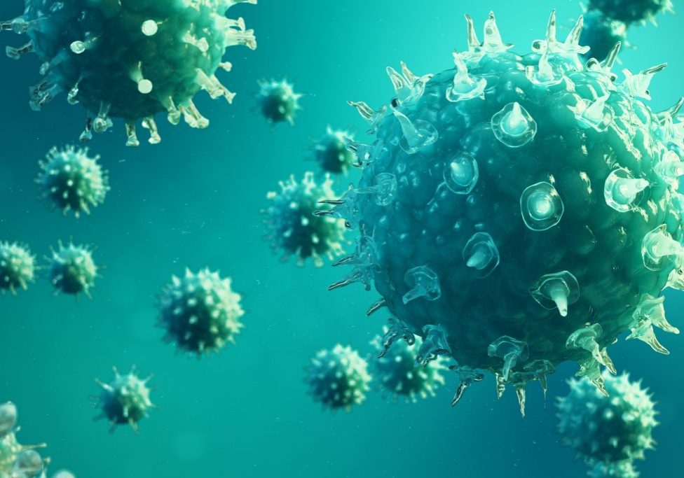 Virus_1300_HP Virus_1300_HP